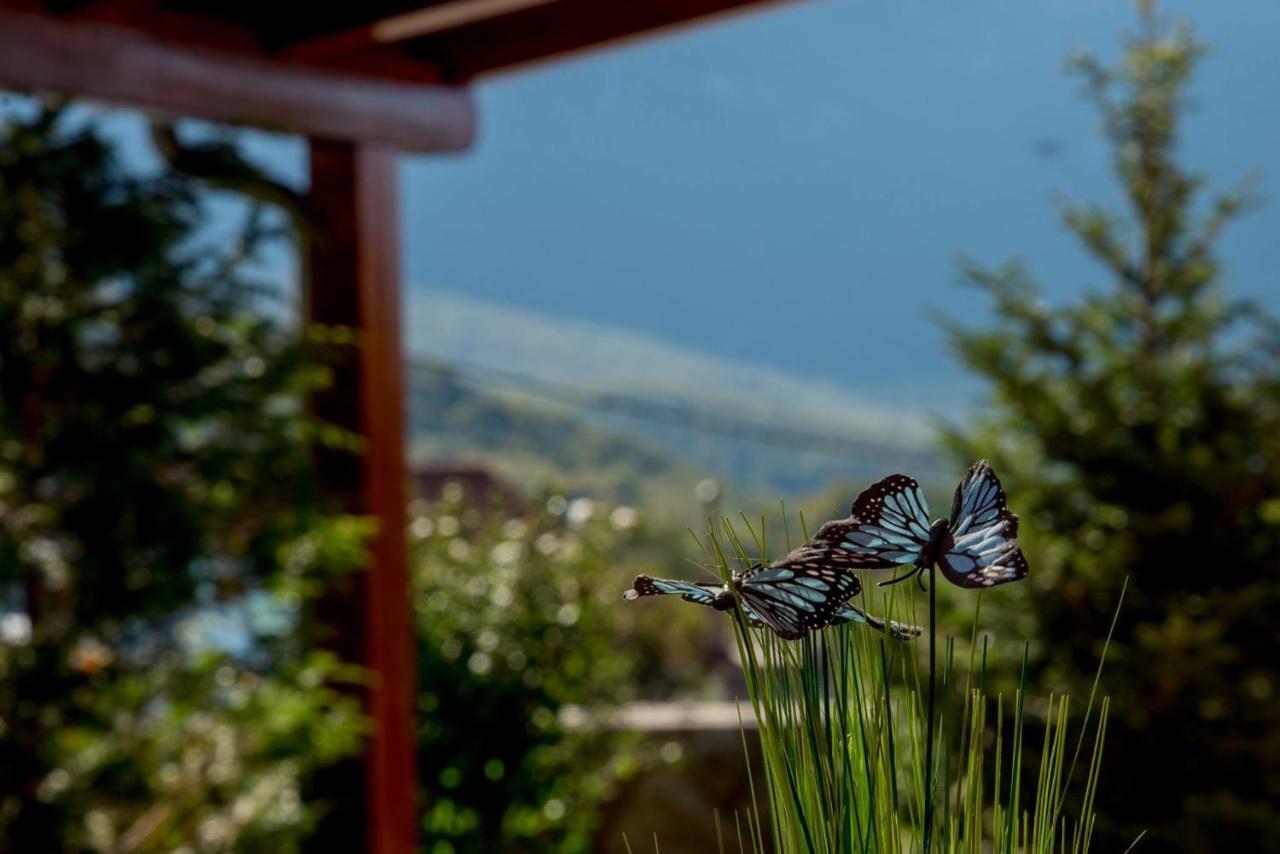 Villa Zvonimir Zagvozd Extérieur photo